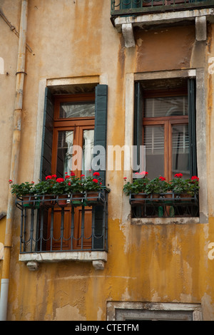 Red Geraniums decorating a balcony door and window in Venice, Italy Stock Photo