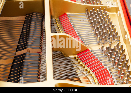 Detailed interior of grand piano showing the strings, pegs, sound board with focus sharp across image Stock Photo