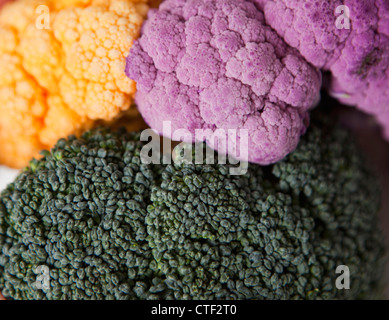 Broccoli with yellow and purple cauliflower, studio shot Stock Photo