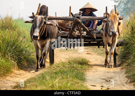 Farmer on a cart near Mandalay, Myanmar Stock Photo