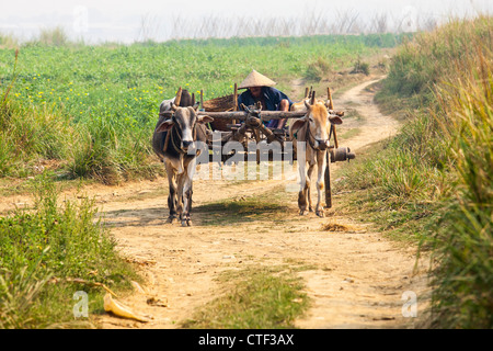 Farmer on a cart near Mandalay, Myanmar Stock Photo