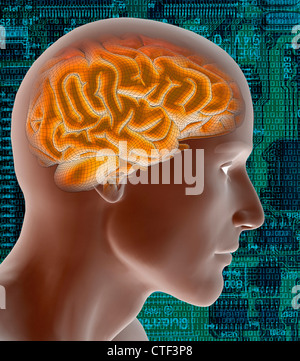 Conceptual image of human brain Stock Photo