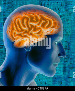 Conceptual image of human brain Stock Photo