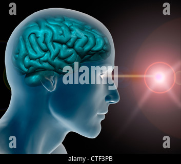 Conceptual image of human brain Stock Photo