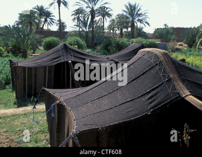 Traditional Bedouin tents sited in a southern oasis, Morocco Stock Photo