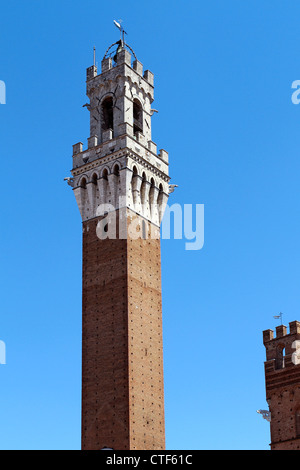 Italy, Tuscany, Siena, Piazza del Campo, Palazzo Pubblico, La Torre del Mangia, 102 m Stock Photo