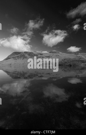 Black and White image of Whiteless Pike fell reflected in Crummock Water, Lake District National Park, Cumbria County, England Stock Photo
