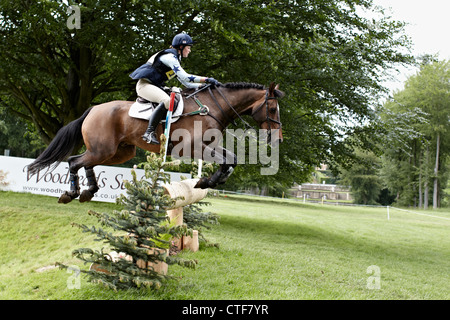 Horse and rider eventing at Bramham International Horse Trials 2012 Stock Photo