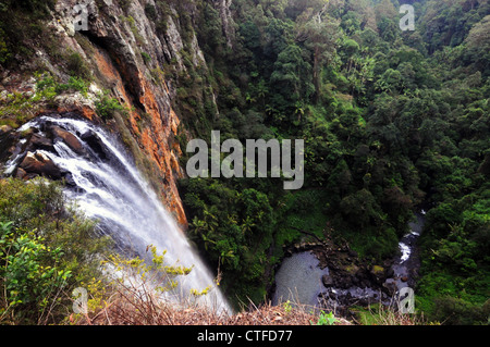 Purling Brook Falls, Springbrook National Park, Gondwana World Heritage Area, Queensland, Australia Stock Photo