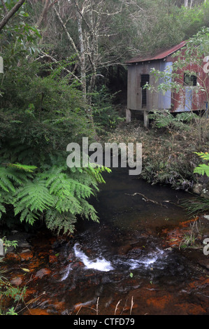 Historic old water pumping shed beside Purling Brook, Springbrook National Park, Queensland, Australia Stock Photo