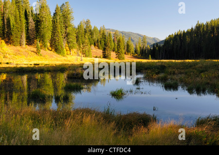 Reflections in Wilderness Pond Stock Photo
