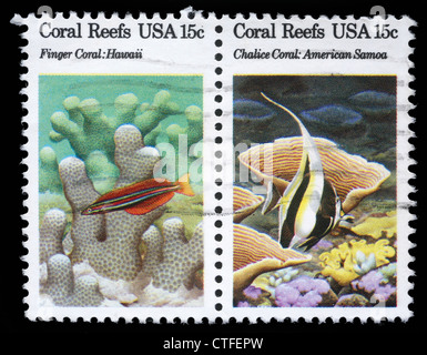 USA - CIRCA 1980 : A stamp printed in the USA shows Coral Reefs, circa 1980 Stock Photo