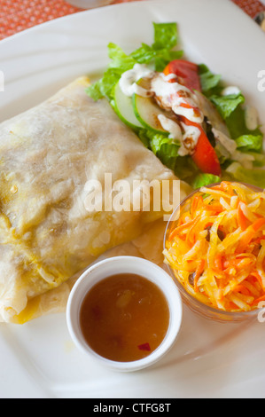 Caribbean West Indies Nevis Mount Nevis Hotel food dining restaurant - curried chicken roti with mango chutney salad and slaw Stock Photo