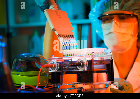 Researcher using a multi-pipette to fill a multiwell sample tray in a biochemistry lab. Stock Photo