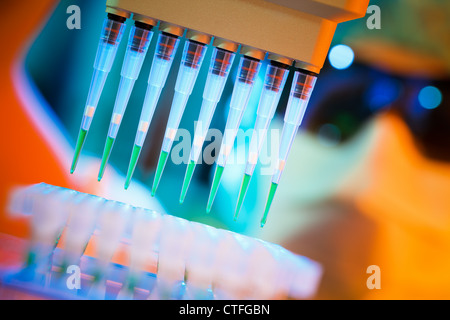 Multi-channel pipette which is being used to fill a multi-well sample tray. Stock Photo
