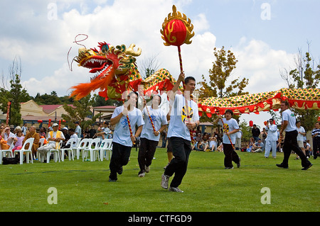 Dragon Dance for the Chinese New Year Stock Photo