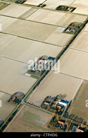 The Netherlands, Nagele, Farms and farmland in Flevopolder. Aerial. Stock Photo