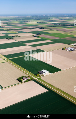 The Netherlands, Dronten, Farms and farmland in Flevopolder. Aerial. Stock Photo