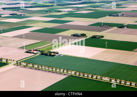 The Netherlands, Dronten, Farms and farmland in Flevopolder. Aerial. Stock Photo