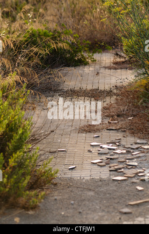 Overgrown abandoned footpath in Spain Stock Photo