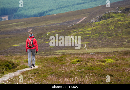 A hiker walking the trail over Simonside Hills near Rothbury on an ...