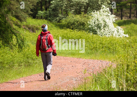 A hiker returning from Simonside Hills Rothbury, Northumberland, England, UK. Stock Photo