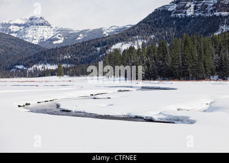 Soda Butte Creek with Otter tracks, Yellowstone National Park Stock Photo