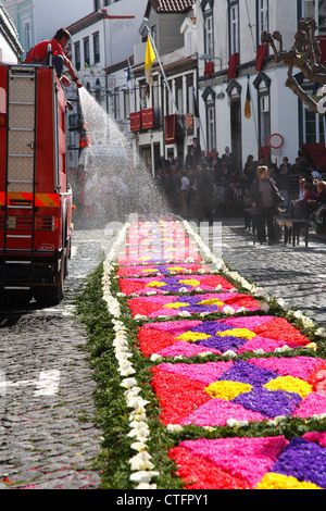 Fire truck spraying water on flower carpet during religious festival at Ponta Delgada, Azores islands. Stock Photo