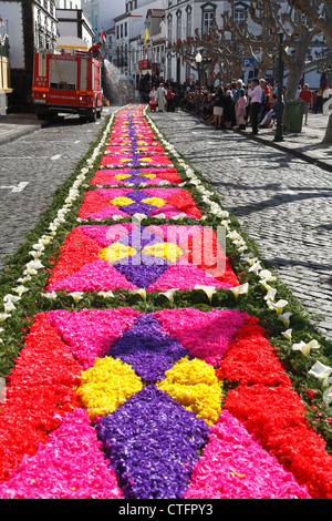Flower carpets made from artificially colored wood shavings. Sao Miguel, Azores islands, Portugal Stock Photo