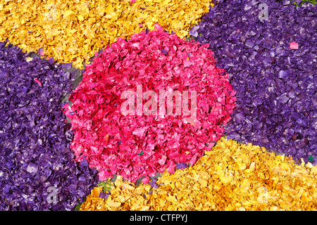 Flower carpets made from artificially colored wood shavings. Azores islands, Portugal Stock Photo