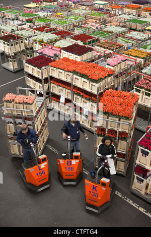 The Netherlands, Aalsmeer, FloraHolland, largest flower auction in the world. Stock Photo