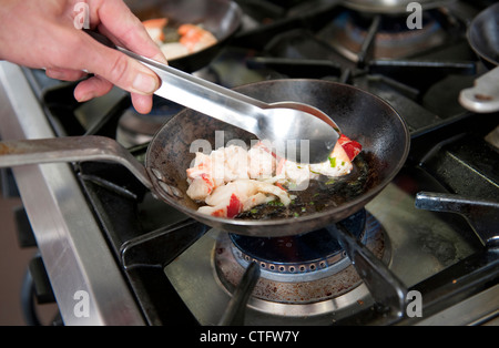 cooking lobster on a gas hob Stock Photo
