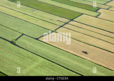 The Netherlands, Broek in Waterland, Farmer with tractor collecting grass. Aerial. Stock Photo