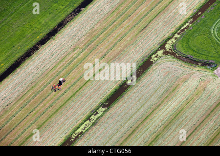 The Netherlands, Zuiderwoude. Aerial. Collecting grass with tractor. Stock Photo