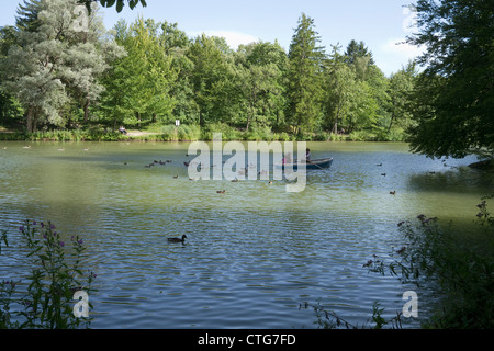 woman with children in a rowing boat on a lake with ducks and geese Stock Photo