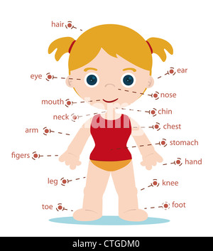girl body parts chart for school Stock Photo