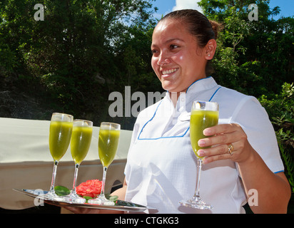 Woman serves hotel guests glasses of juice made with chaya leaves, Riviera Maya, Mexico Stock Photo