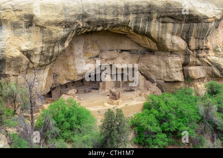 Oak Tree House, Native American Cliff Dwellings, Mesa Verde National Park, Colorado, USA Stock Photo
