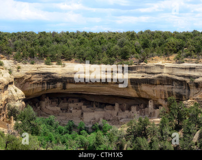 Cliff Palace, Native American Cliff Dwellings, Mesa Verde National Park, Colorado, USA Stock Photo