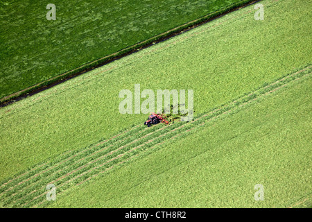 Netherlands, Breukelen, Tractor turning grass. aerial. Stock Photo