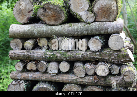 Log Pile; UK Stock Photo