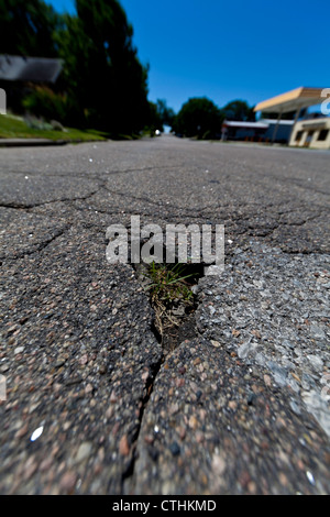 A hole in asphalt road surface. Stock Photo