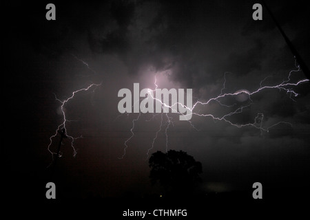 Forked lightning strikes from a cloud layer, silhouetting a tree and utility pole. Stock Photo