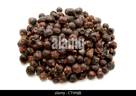 Dried juniper berries on a white background Stock Photo