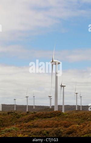 The Wind Turbines At The Albany Wind Farm At Sandpatch; Albany, Western Australia, Australia Stock Photo