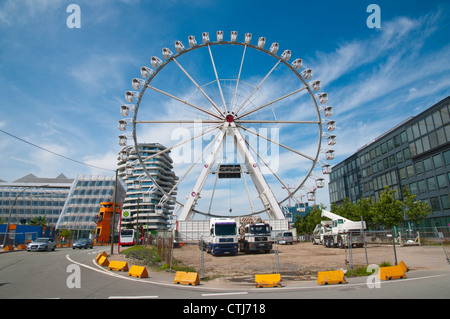 Ferris wheel in HafenCity area under development central Hamburg Germany Europe Stock Photo