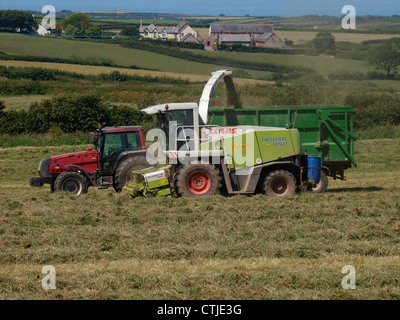 Jaguar 850 Self-Propelled Forage Harvester, Devon, UK Stock Photo