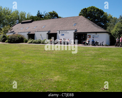 The Burton Art Gallery and Museum. Bideford Devon Stock Photo - Alamy