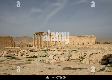 Palmyra ancient Roman site, in Syria near Damascus. Stock Photo