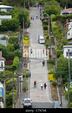 Baldwin Street, die steilste Strasse der Welt, in Dunedin,Neuseeland Stock Photo